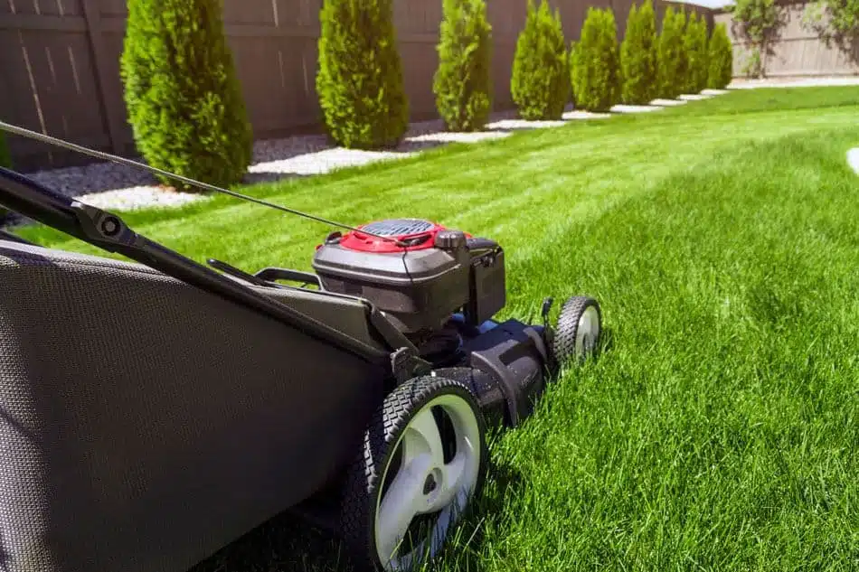 Soothing Green: Elevating Your Outdoors with Premium Lawn Care Service